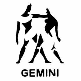 POCHOIR PLASTIQUE 15*15cm : signe astrologique Gémeaux (Gemini) 