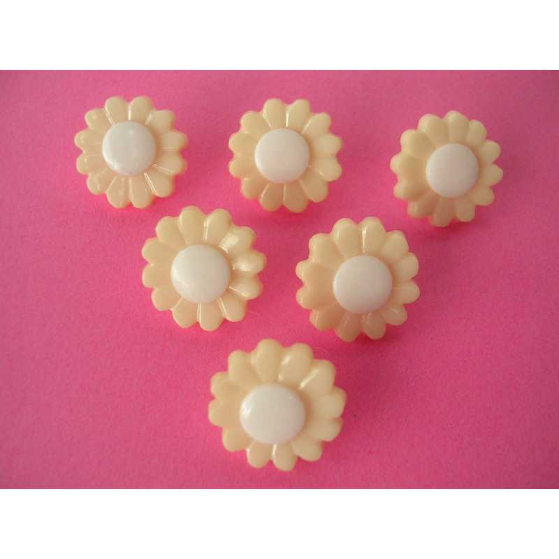 LOT 6 BOUTONS ACRYLIQUES : marguerite crème/blanche 15mm (01) 