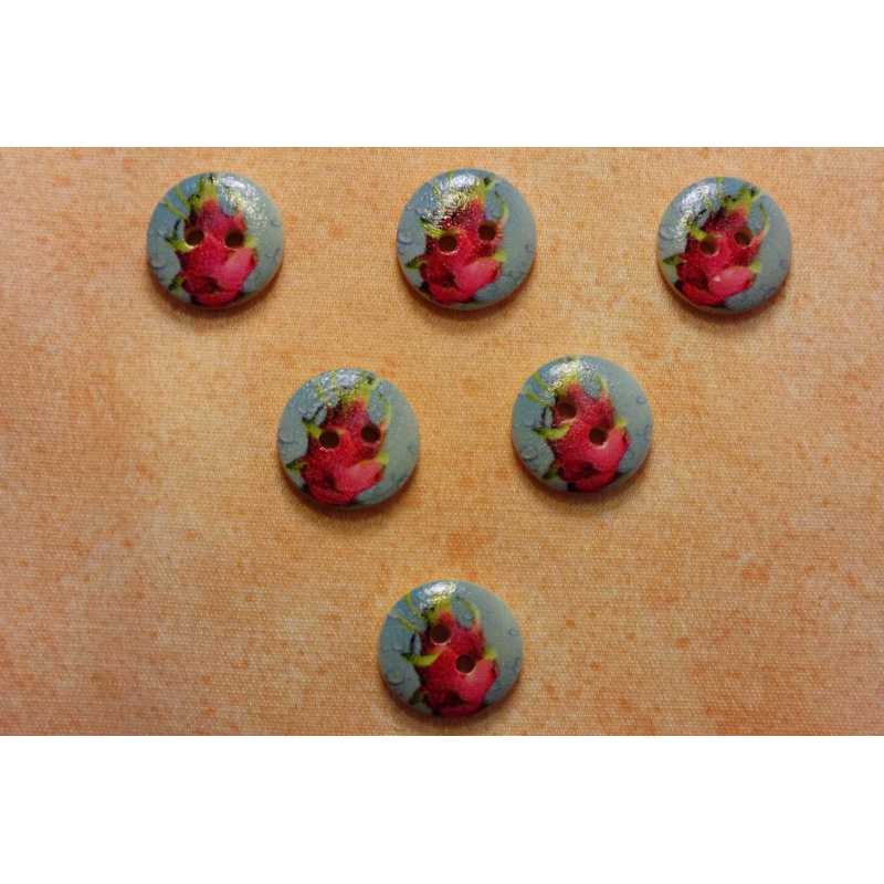 LOT 6 BOUTONS BOIS : rond thème fruit  15mm 