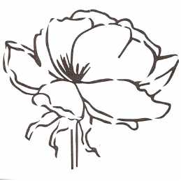 POCHOIR PLASTIQUE 13*13cm : fleur (127) 