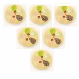 LOT 6 BOUTONS BOIS : rond motif fantaisie 15mm (12) 