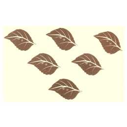 LOT 6 BOUTONS BOIS : feuille 34*21mm (02) 