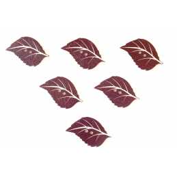LOT 6 BOUTONS BOIS : feuille 34*21mm (04) 