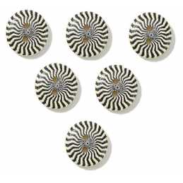 aaLOT 6 BOUTONS BOIS : rond motif fantaisie 15mm (36) 