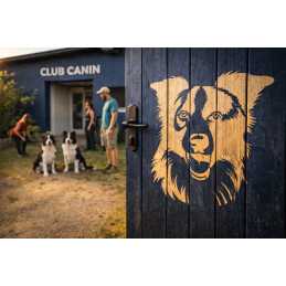 Pochoir A4  21 x 29,7 cm en plastique Mylar Chien Border collie 