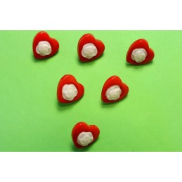 LOT 6 BOUTONS ACRYLIQUES :...