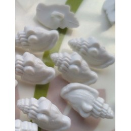 LOT 6 BOUTONS : coquillage blanc 18mm