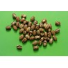 LOT 50 PERLES BOIS : olive marron marbré 8*5mm (03)