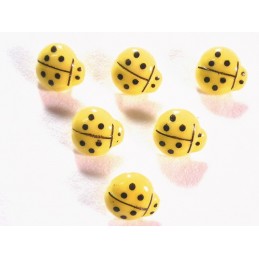 LOT 6 BOUTONS ACRYLIQUES :...